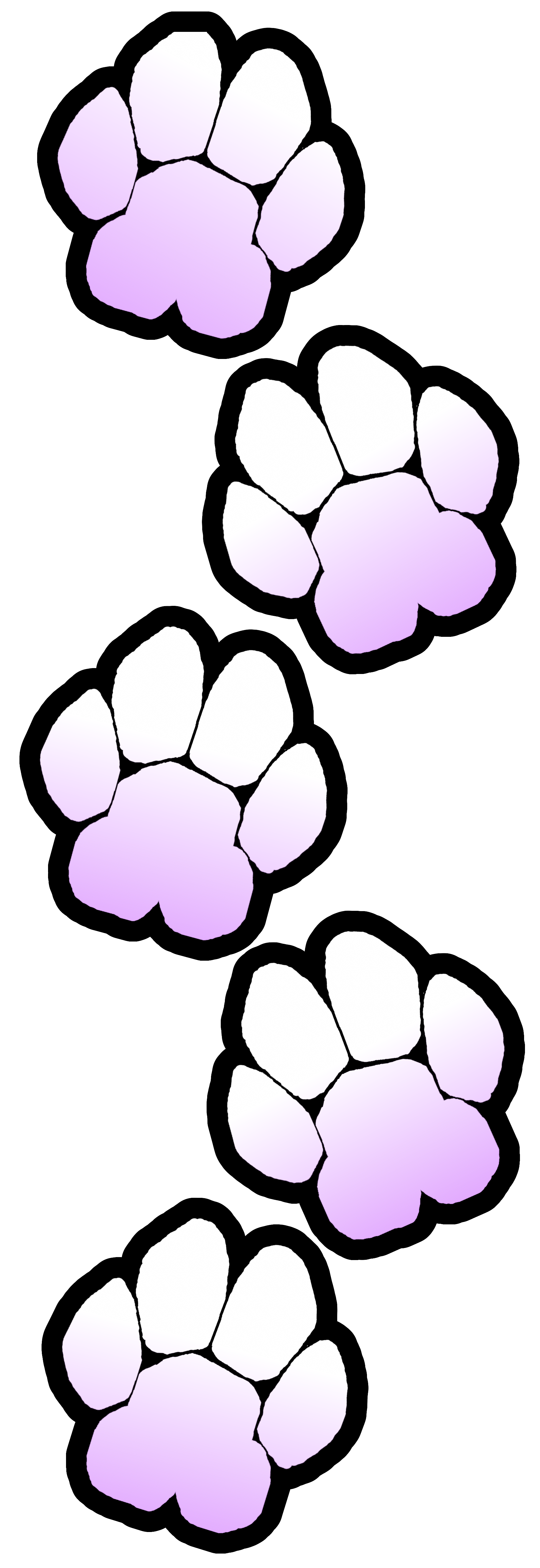 pawbpattern
